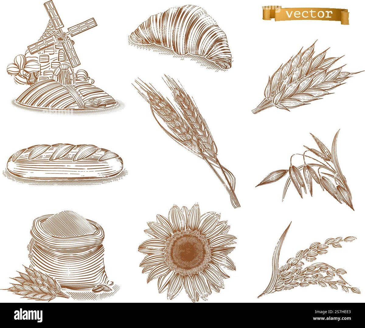 How Old Is Armin Arlert In Black Clover Explained